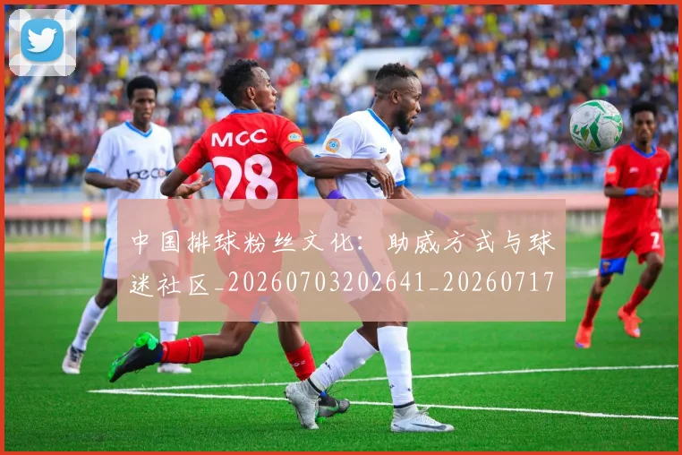 中国排球粉丝文化：助威方式与球迷社区_20260703202641_20260717234431