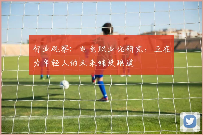 行业观察:电竞职业化研究,正在为年轻人的未来铺设跑道