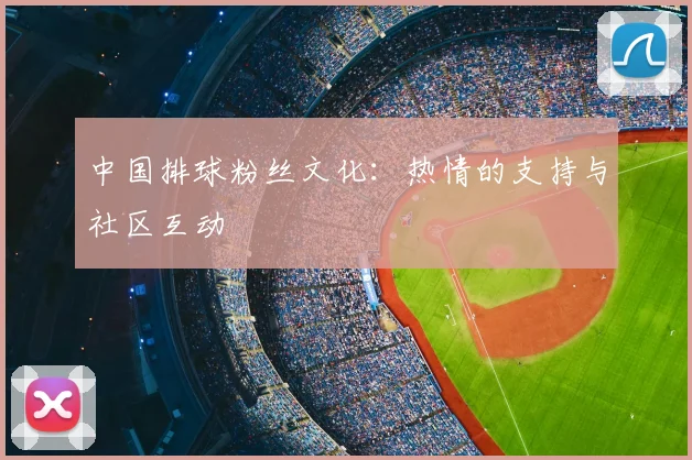 中国排球粉丝文化:热情的支持与社区互动